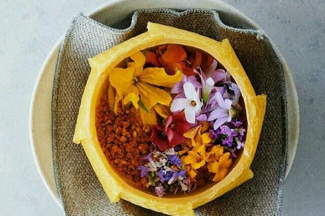 Maso v letní nabídce nomy nenajdete Maso v letní nabídce nomy nenajdete