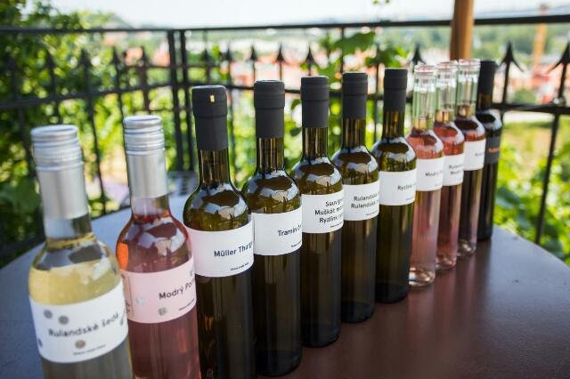 Na festivalu ochutnáte vína z malých rodinných vinařství.jpg Na festivalu ochutnáte vína z malých rodinných vinařství