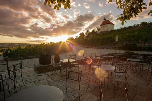 Vinice sv. Kláry v pražské Troji.jpg Vinice sv. Kláry v pražské Troji