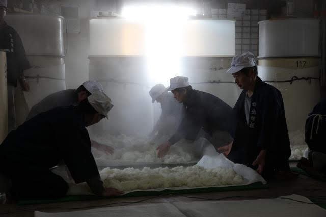 Výroba saké, ilustrační fotografie.jpg Výroba saké, ilustrační fotografie