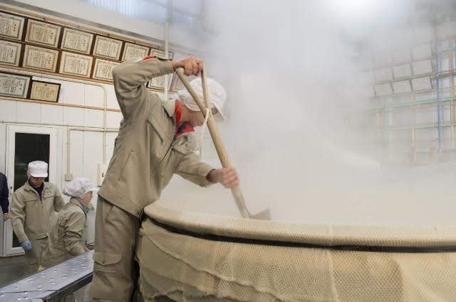 Výroba saké, ilustrační fotografie.jpg Výroba saké, ilustrační fotografie