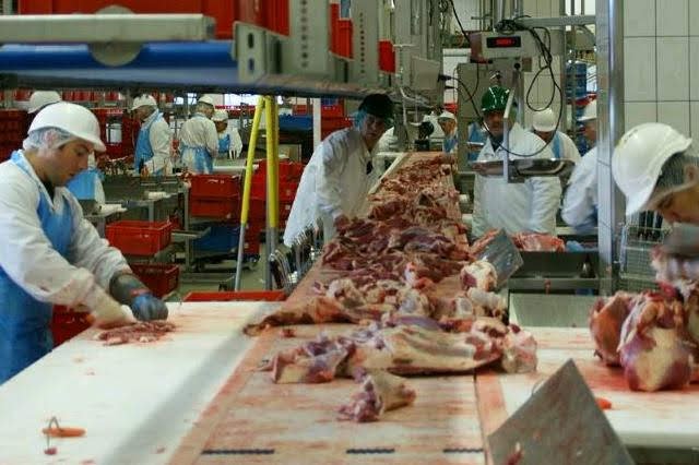 Zpracování masa, ilustrační fotografie.jpg Zpracování masa, ilustrační fotografie