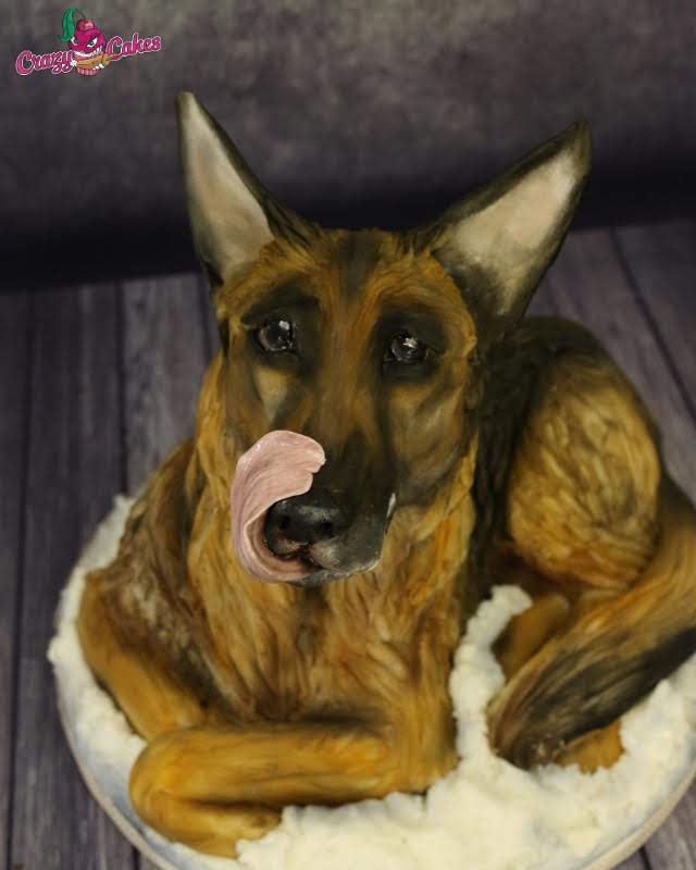 Ovčanda, dort Lucie Velechovské z Crazy Cakes.jpg Ovčanda, dort Lucie Velechovské z Crazy Cakes