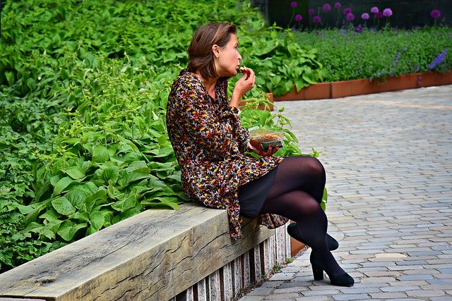 Oběd v parku, ilustrační fotografie.jpg Oběd v parku, ilustrační fotografie