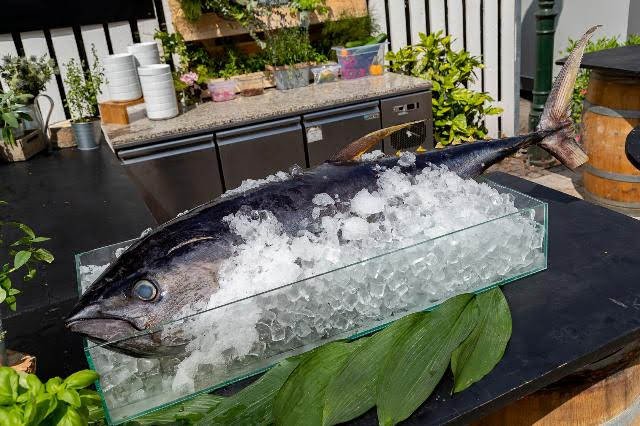 Í letos se hosté Žofín Garden mají v létě na co těšit.jpg Í letos se hosté Žofín Garden mají v létě na co těšit