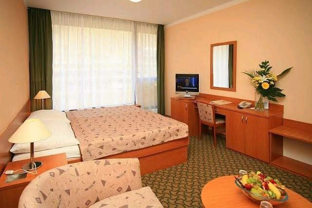 Hotel Thermal, současný stav.jpg Hotel Thermal, současný stav