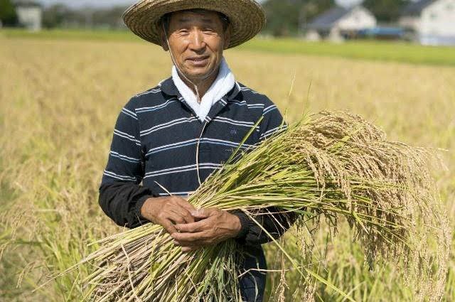 Japonci jsou skvělí ❤.jpg Japonci jsou skvělí ❤