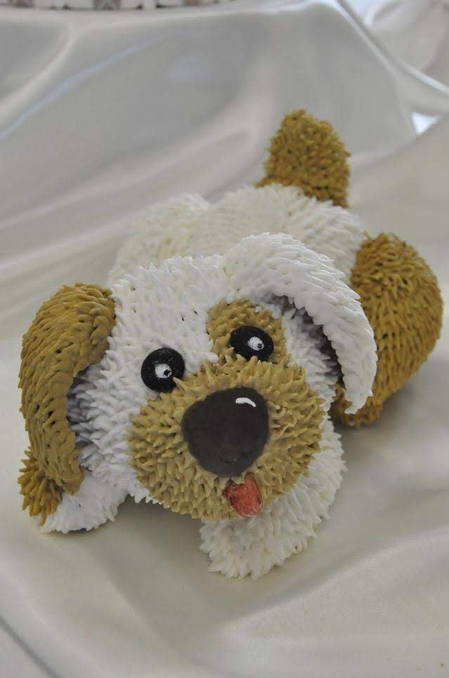 Olima Cup 2019.jpg Olima Cup 2019