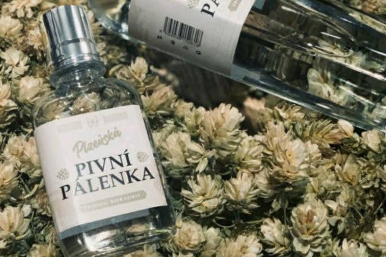 Pivní pálenka z Prazdroje.jpg Pivní pálenka z Prazdroje