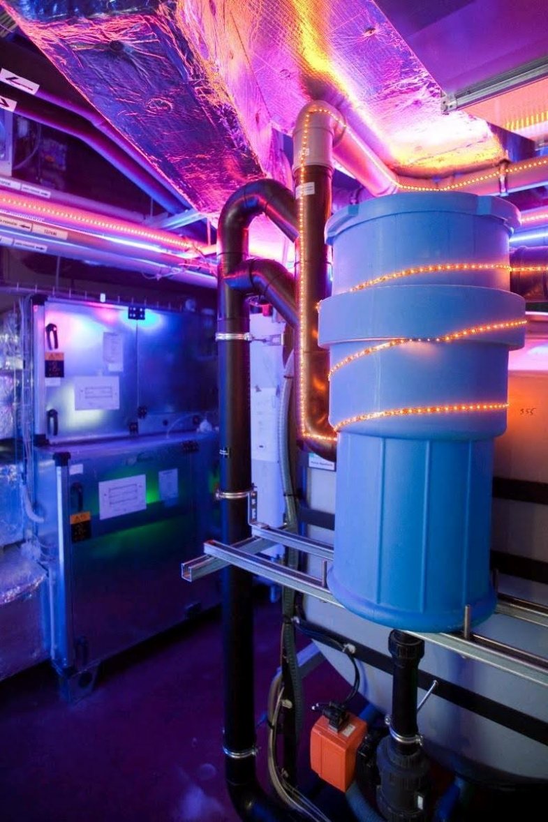 Mosaic House Design Hotel je po kompletní rekonstrukci.jpg Mosaic House Design Hotel je po kompletní rekonstrukci