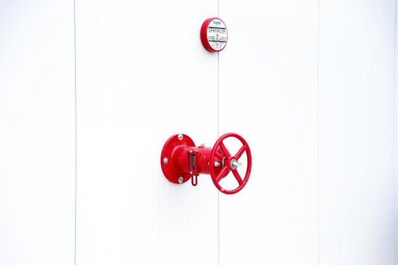 Bidfood v Kralupech otevřel novou balírnu ryb.jpg Bidfood v Kralupech otevřel novou balírnu ryb