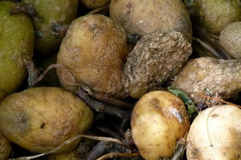 Plýtvání, ilustrační obrázek.jpg Plýtvání, ilustrační obrázek