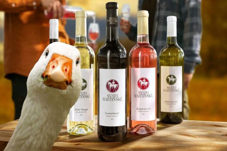 Svatomartinského bude letos rekordní množství.jpg Svatomartinského bude letos rekordní množství