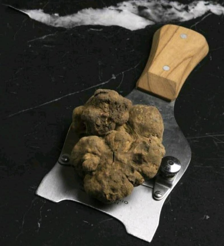 lanýž bílý pole sílí.jpg lanýž bílý pole sílí