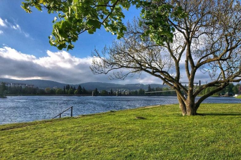 Jablonec hledá nájemce nového stánku u přehrady.jpg foto www.jablonec.com.jpg Jablonec hledá nájemce nového stánku u přehrady.jpg foto www.jablonec.com