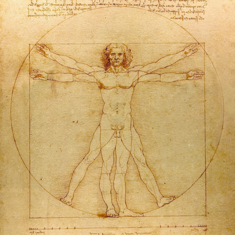 Leonardo da Vinci: Vitruviánský muž, Canva.png Leonardo da Vinci: Vitruviánský muž, Canva