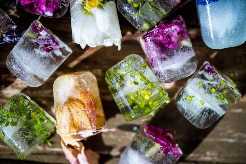 Led není nuda. Tipy, jak vyrobit nejhezčí led letošního léta.png Led není nuda. Tipy, jak vyrobit nejhezčí led letošního léta