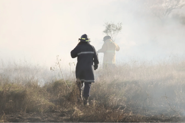 Foto: Canva.png Foto: Canva